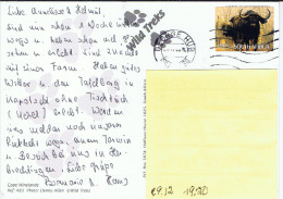 RSA+ Südafrika 2007 Mi 1747 Kaffernbüffel Auf Postkarte - Covers & Documents