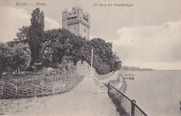 Allemagne -  Eltville Am Rhein - Die Burg Mit Rosenanlagen - Eltville