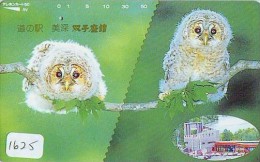 Télécarte Japon Oiseau * HIBOU (1625) OWL * BIRD Japan Phonecard * TELEFONKARTE EULE * UIL * - Hiboux & Chouettes