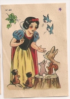 Image N° 42 De L'album "Blanche Neige Et Les 7 Nains". Volume 1. 1939. Chocolat Menier. Walt Disney - Menier