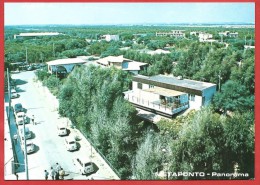 CARTOLINA VG ITALIA - BERNALDA (MT) - Metaponto - Panorama - 10 X 15 - ANNULLO 1967 - Altri & Non Classificati