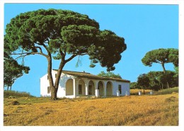 MOGUER, Huelva, Andalucia, Espana:  FUENTEPINA , La Blanca Casita Juanramoniana Y El Pino Grande, Tumba De Platero, 1968 - Huelva