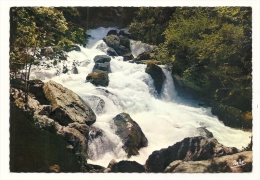 Cp, 84, Fontaine De Vaucluse, Source De La Sorgue, La Grande Cascade En Période De Crue - Autres & Non Classés