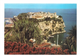 Cp, Principauté De Monaco, Le Rocher Et Le Jardin Exotique - Jardin Exotique