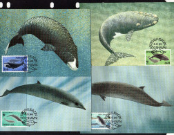 Iles Ferroés 1990 4 Très Belles Carte Maximum WWFespèces Protégées Baleines Et Dauphins - Ballenas