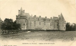 CPA 56 MAURON ET SES ENVIRONS CHATEAU DU BOIS DE LA ROCHE - Otros & Sin Clasificación