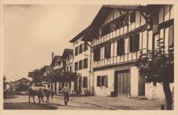CPA - Aïnhoa - La Grande Rue Du Village - Ainhoa