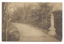 Carte Postale - LINDTHOUT - Pensionnat Du Sacré Coeur - Allée De La Ste Vierge - CPA  // - Woluwe-St-Lambert - St-Lambrechts-Woluwe