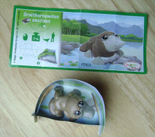 KINDER SURPRISE NATOONS ORNITHORHYNCHUS ANATINUS FT013 - Otros & Sin Clasificación