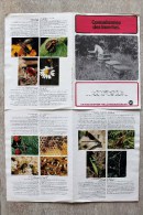 Images Chocolat POULAIN, Dossier Complet, 8 Pages Et 24 Images: Connaissance Des Insectes. 2 Photos. - Poulain