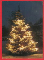 154907 / New Year Nouvel An Neujahr  - NIGHT TREE LAMP ILUMINATTE - USED RADEBEUL 1 DDR Germany Deutschland Allemagne - Anno Nuovo