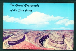 USA  -  The Great Goosenecks Of The San Juan  Unused Postcard As Scan - Monument Valley