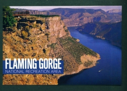 USA  -  Ashley National Forest  Flaming Gorge  Unused Postcard As Scan - Autres & Non Classés