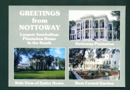 USA  -  White Castle  Nottoway Plantation   Unused Postcard As Scan - Other & Unclassified