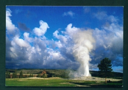 USA  -  Yellowstone  Old Faithful  Unused Postcard As Scan - Yellowstone