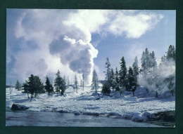 USA  -  Yellowstone National Park  Castle Geyser  Unused Postcard As Scan - Yellowstone