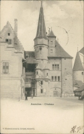 SUISSE AVENCHES / Le Château / - Avenches
