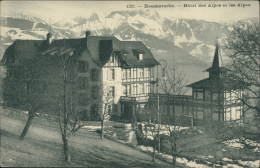 SUISSE BAUMAROCHE  / Beaumaroche Et Hôtel Des Alpes / - Bauma