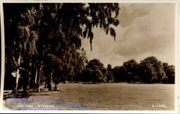 CAMBS - WISBECH - THE PARK RP Ca196 - Altri & Non Classificati