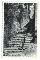 Carte Postale - LINKEBEEK - Escalier Du Centenaire - CPA   // - Linkebeek