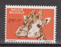 Belgie, Belgique, Belgium MNH ; Giraffe, Jirafa - Giraffes