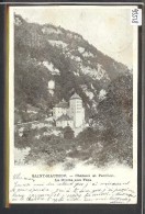 ST MAURICE - LE CHATEAU ET LE PAVILLON - TB - Saint-Maurice