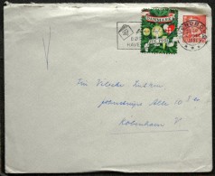 Denmark 1951 Letter Svenborg ( Lot  4437 ) - Brieven En Documenten