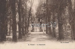 TIARET - N°46 - LA JUMENTERIE - Tiaret