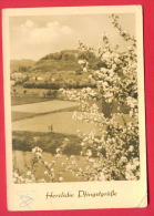 154961 / HERZLICHE PFINGSTGRÜSSE HEARTY Pentecost Greetings VILLAGE TREE FELD -  DDR Publ. Germany Deutschland Allemagne - Pentecoste