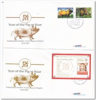 Nederlandse Antillen 2007, FDC 391, Year Of The Pig - Antilles