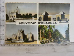 CPSM ALGERIE - Souvenir D'OUARGLA - Ouargla
