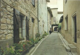 MIDI PYRENEES - 81 - TARN - CASTELNEAU DE MONTMIRAL - Cité Médiévale - Rue Cahuzac - CPSM GF Couleur - Castelnau De Montmirail