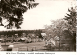 Altenberg Bärenburg - S/w Ortsansicht 2 - Altenberg