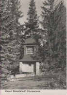 Altenberg Bärenfels - S/w Glockenturm 1 - Altenberg