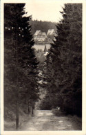 Altenberg Oberbärenburg - S/w Waldblick Nach Oberbärenburg - Altenberg