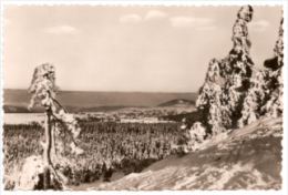 Altenberg Im Erzgebirge - S/w Blick Vom Kahleberg 1 - Altenberg