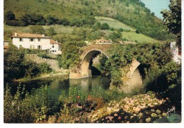 BIDARRAY - Le Pont  Noblia Sur La Nive - Yvon 3329  -circulée 1966 - Tbe - Bidarray