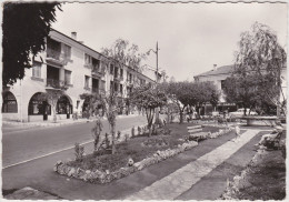 CPSM - GF - Saint Laurent Du Var (A. M.) La Place Du Jardin De Nice - Saint-Laurent-du-Var