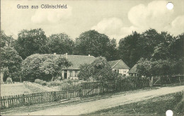 Uralte AK Gruss Aus Cöllnischfeld (bei Springe) - 1908 - Springe