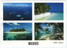 MALDIVES-MALE ATOLL (MICHAEL FRIEDEL No.23/060) / THEMATIC STAMP-FISH - Maldivas