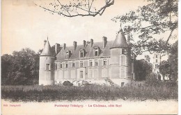 FONTENAY TRESIGNY - Le Château, Côté Sud - Fontenay Tresigny