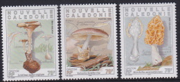 New Caledonia 1998  Mushrooms MNH - Used Stamps