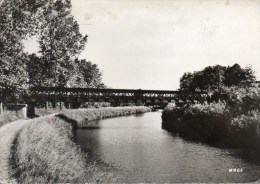 - 45 - CHATILLON COLIGNY. - Le Canal De Briare - Pont Du Tram - - Chatillon Coligny