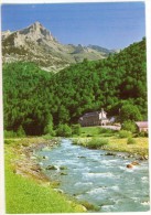 Espagne  Bielsa  ( Pirineo Aragones ) Parador Nacional De Mte.Perdido  Rfo Cinca En El Valle De Pineta TBE - Other & Unclassified