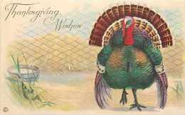 225791-Thanksgiving, Stecher No 777 F, Tom Turkey Standing In Farm Yard - Giorno Del Ringraziamento