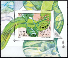 ROMANIA, 1994 , Protection In Danube River Delta, Plants, Souvenir Sheet, MNH (**), LPMP/Sc. 1354/3943 - Nuevos