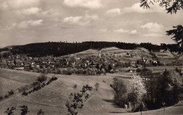 AK Hammelbach Im Odenwald Bei Fürrth, Darmstadt, Michelstadt -Gasthaus Zum Ochsen - Heppenheim