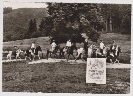 Riefensbeek-Oberharz-pony Hotel-used-perfect Shape - Kaufbeuren