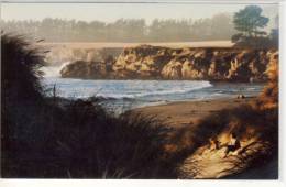 SONOMA COAST On Hwy 1, CA - Tranquil Beach At The SEA RANCH, Near The Bay Area - American Roadside