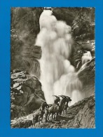Oberre Krimmler Wasserfall  (A99) Schöppl´s Kiosk - 2 Scan - - Krimml